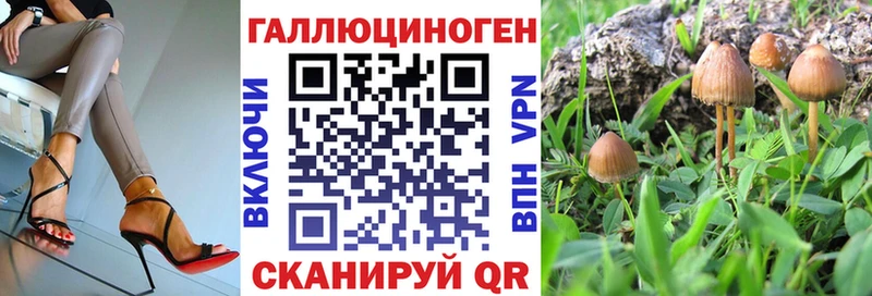 Псилоцибиновые грибы Psilocybe  цены   Россошь 